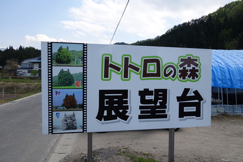 DSC03012