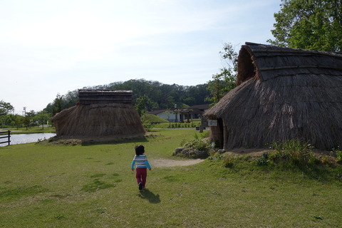 DSC03566