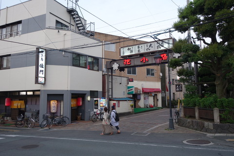 DSC06313