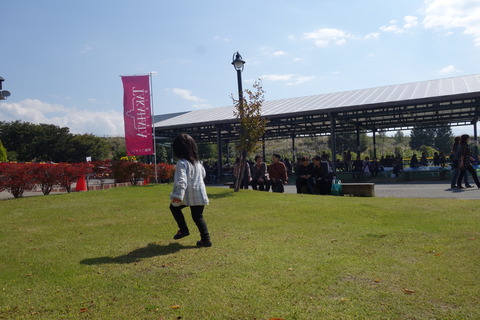 DSC08401