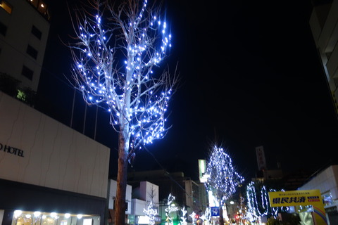 DSC09239