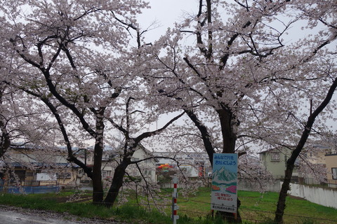 DSC09477