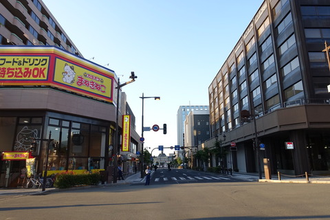 DSC04219