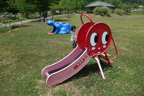 DSC02223