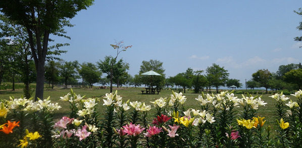 new_DSC02183