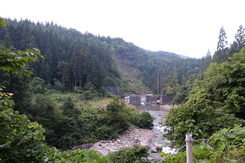 DSC09803