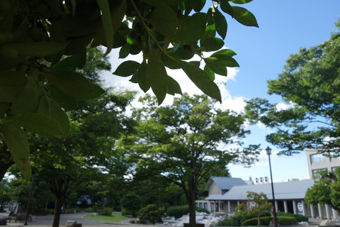 DSC02022