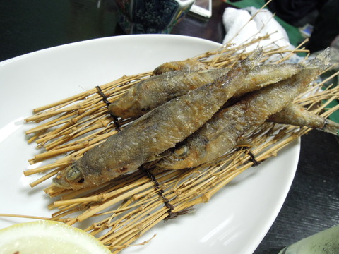 DSCN8245