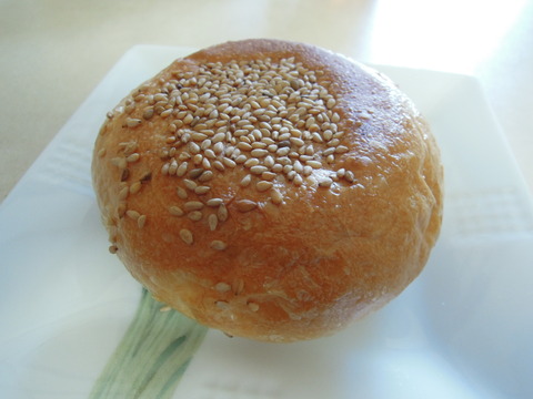 DSCN6600