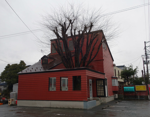 new_DSC07133