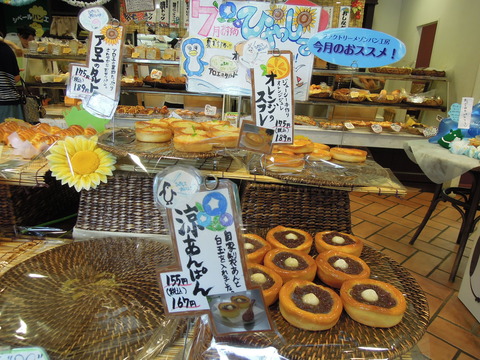 DSCN6403