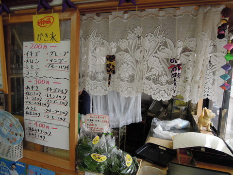 DSCN6782
