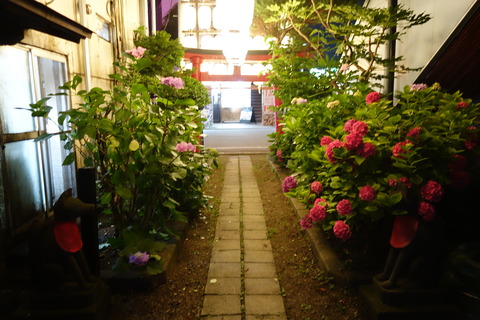 DSC09322
