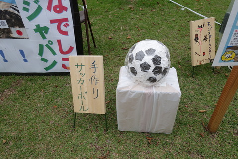 DSC06060