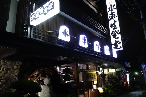 DSC04130