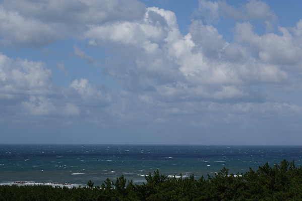 DSC07011