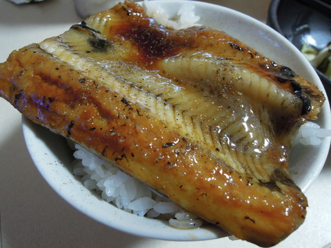 DSCN6390