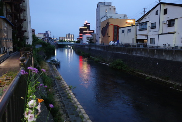 DSC09173