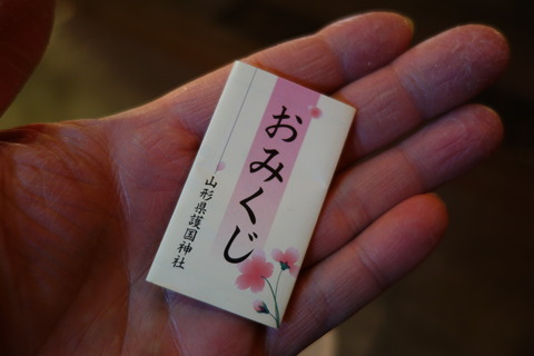 DSC00110
