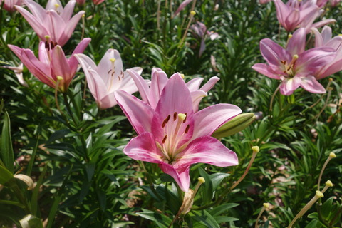 DSC02101