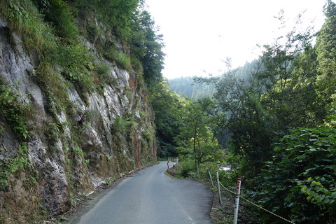 DSC09175