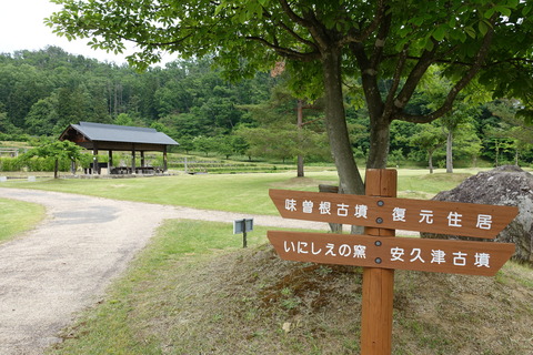 DSC03170