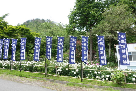 DSC03906