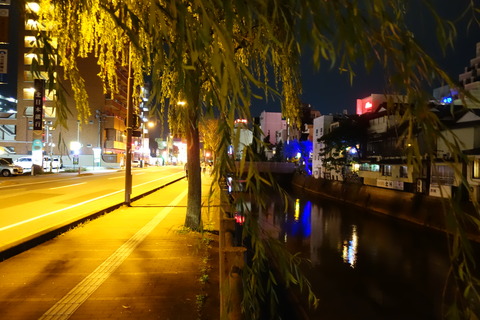 DSC09542