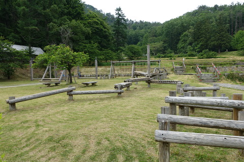 DSC03260