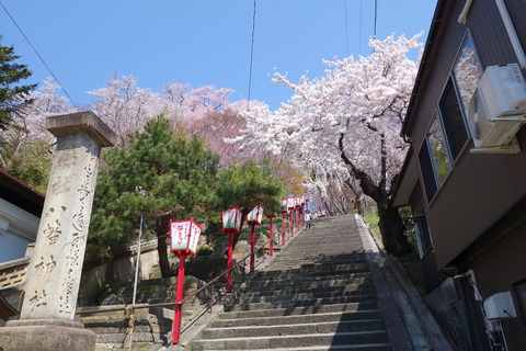 DSC02478