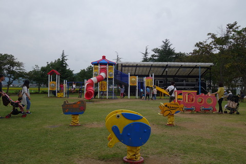DSC06154
