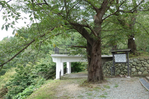 DSC03561