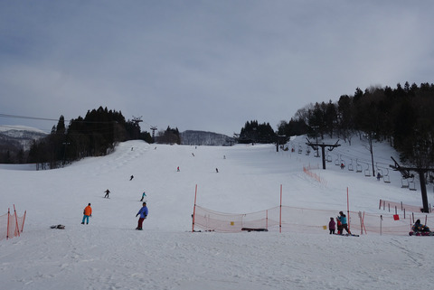 new_DSC02449