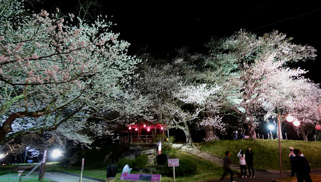 new_DSC01426
