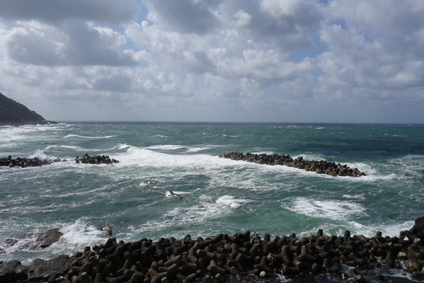 DSC07283