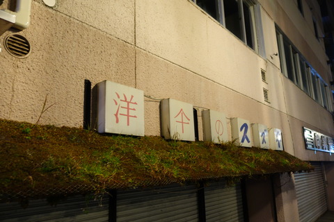 DSC09066