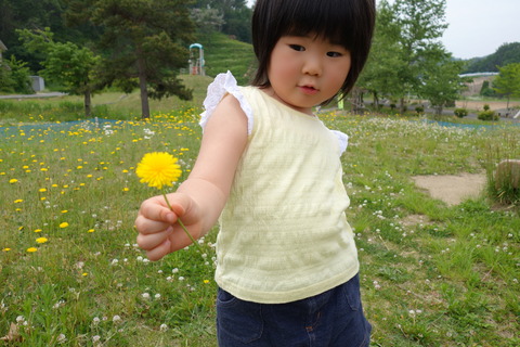 DSC03970