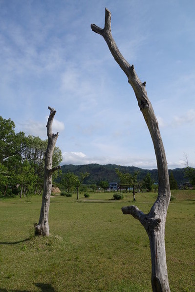 DSC03577