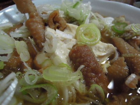 DSCN0981
