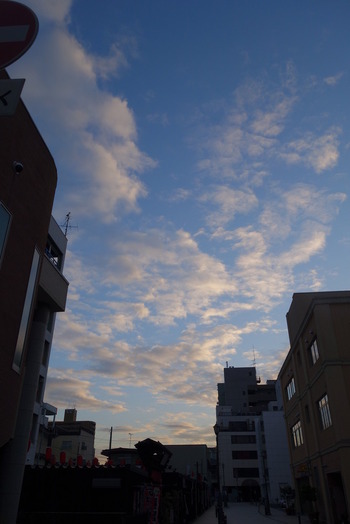 DSC08954