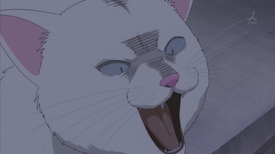 40