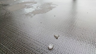 雹が降りました