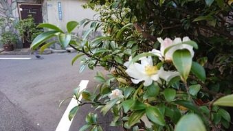 季節を五感で感じる