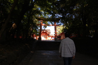 神秘の道