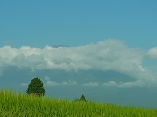 R0010961