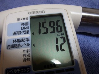 RIMG0606