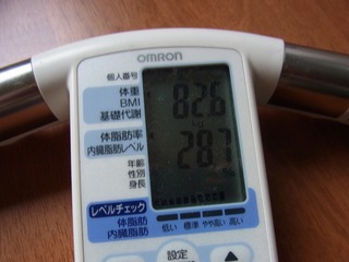 110626体脂肪