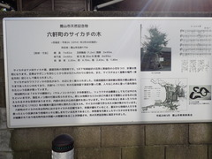案内看板