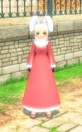 ウサ耳