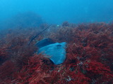 P7200595